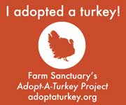 adopt a turkey
